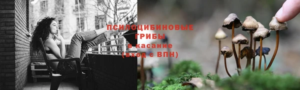 стаф Бронницы